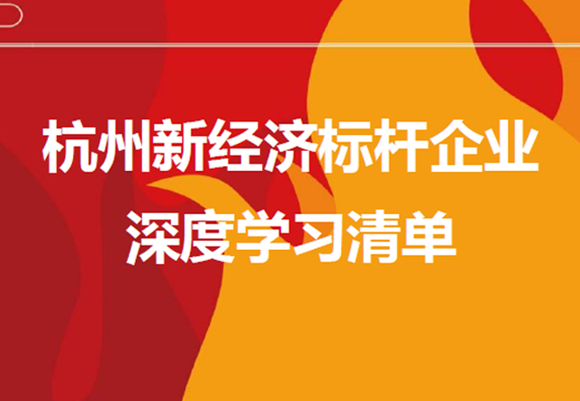 杭州新經(jīng)濟(jì)標(biāo)桿企業(yè)